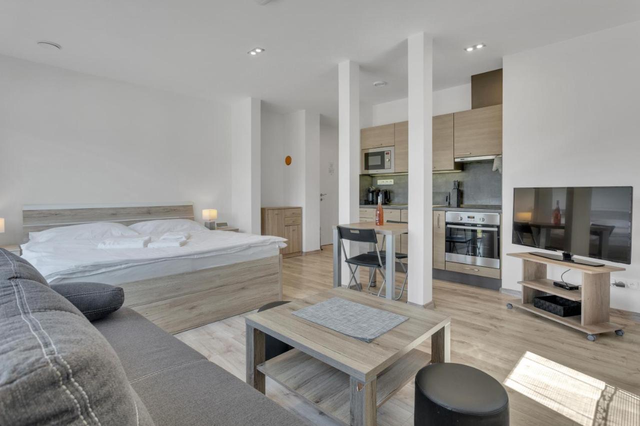 Family Apartments Klinovec Loučná pod Klínovcem Екстериор снимка