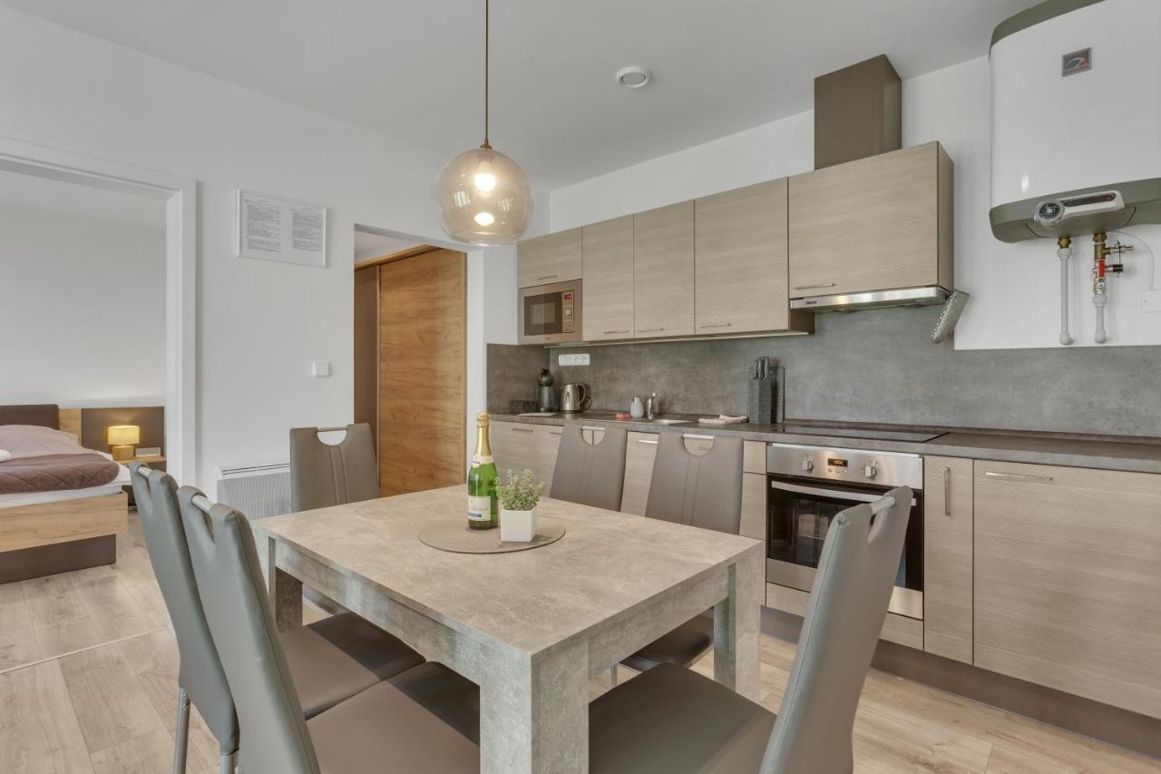 Family Apartments Klinovec Loučná pod Klínovcem Екстериор снимка